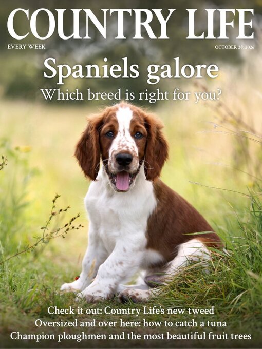 Cover image for Country Life
